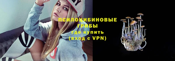 индика Баксан