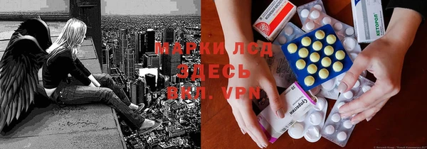 индика Баксан