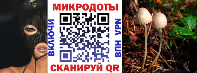 Купить где  Старая Русса  Псилоцибиновые грибы Psilocybine cubensis 